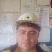  --,   , 40 ,   