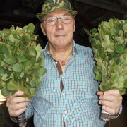  ,   , 72 ,     