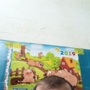 ���������� ��������, ���� ������� ������, 45 ���, ������������ 