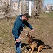 ���������� ������, ���� ������� Dvs, 45 ���, ������������ ��� ����� � ���������, c�������� ���������