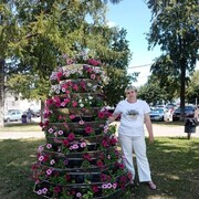 ���������� ������, ���� ������� �����, 43 ����, ������������ ��� ����� � ���������, ���������