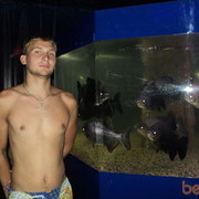 ���������� �����, ���� ������� �������, 37 ���, ������������ ��� ������