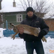  Madrid,   , 37 ,     , c , 