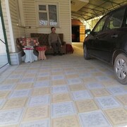  --,   , 43 ,   ,   , c 