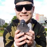 ���������� �����, ���� ������� �������, 26 ���, ������������ ��� ������, ����� � ���������, c�������� ���������