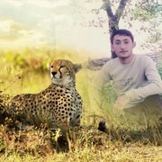  -,   , 35 ,   ,   , c 