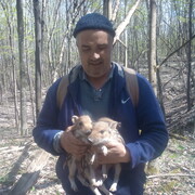 ���������� ���������, ���� ������� �����, 47 ���, ������������ ��� ������, ����� � ���������, c�������� ���������