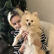 ���������� ������, ��������