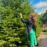 ���������� ��������, ���������