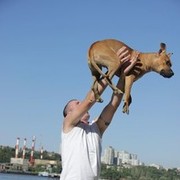 ���������� ������-��-����, ���� ������� �����, 44 ����, ������������ ��� ������