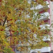  ,   , 63 ,   ,   , c 
