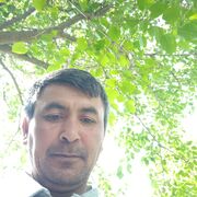 ���������� ���������������, ���� ������� ����, 43 ����, ������������ ��� ������, ����� � ���������