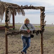 ���������� ������, ���� ������� �����, 41 ���, ������������ ��� ������, ����� � ���������