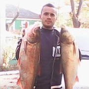  ,   Ivan, 37 ,     , c , 