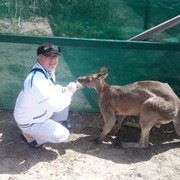 ���������� �������, ���� ������� Rustambek, 60 ���, ������������ ��� ������, ����� � ���������, c�������� ���������