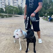 ���������� �����-���������, ���� ������� ������, 45 ���, ������������ ��� ������, ����� � ���������