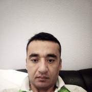  -,   , 33 ,  