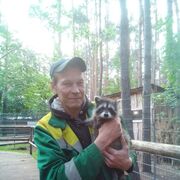 ���������� ���������, ���� ������� ������, 48 ���, ������������ ��� ����� � ���������, c�������� ���������