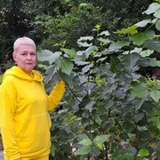  ,   , 54 ,   c 