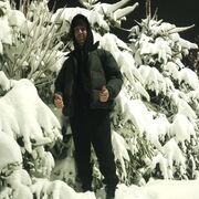 ���������� �����-���������, ���� ������� �����, 34 ����, ������������ 