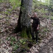 ���������� ������������, ���� ������� �������, 46 ���, ������������ ��� ������, ����� � ���������, c�������� ���������