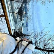 ���������� ���������, ������� ���������, 35