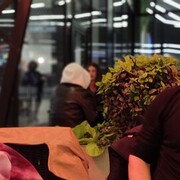  -,   Eugene, 35 ,   ,   , c , 