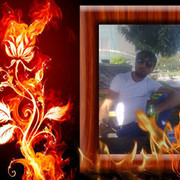  ,   VOLK, 33 ,  