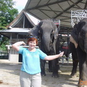 ���������� ������, ���� ������� Alla, 66 ���, ������������ ��� ������, ����� � ���������, c�������� ���������