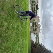 ���������� ������, ���� ������� Roma, 36 ���, ������������ ��� ������, ����� � ���������, ���������