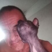 ���������� �������, ������� �������, 58