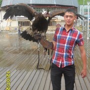  ,   , 33 ,   ,   , c , 