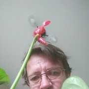 ���������� ������ ����� ������, ������� ������, 54