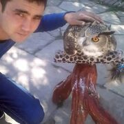 ���������� ������, ���� ������� �����, 36 ���, ������������ ��� c�������� ���������