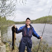 ���������� �����������, ���� ������� �����, 38 ���, ������������ 