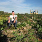 ���������� ������, ���� ������� ������, 39 ���, ������������ ��� ������, ����� � ���������, c�������� ���������