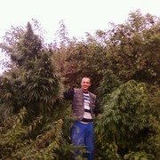  ,  maxvel, 37