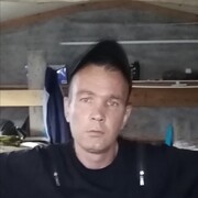  -,   , 39 ,   ,   , c 