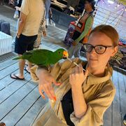 ���������� �����������-��-�����, ���