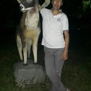  ,   , 45 ,   ,   