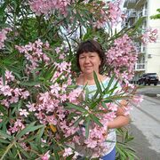  ,   , 55 ,   ,   