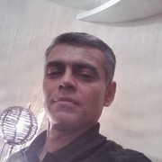  ,   Shahin, 50 ,  