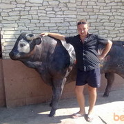 ���������� ��������, ���� ������� Rjcnz, 40 ���, ������������ ��� ������