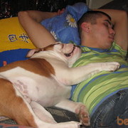 ���������� ��������, ���� ������� �����, 40 ���, ������������ ��� ������, ����� � ���������, c�������� ���������