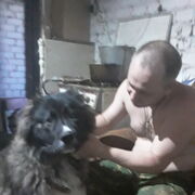 ���������� ������, ���� ������� �������, 45 ���, ������������ ��� ������, ����� � ���������