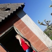 ���������� �������, ���� ������� �����, 43 ����, ������������ ��� ������, ����� � ���������, c�������� ���������