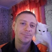  ,   , 41 ,   c , 
