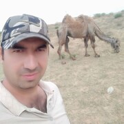 ���������� ������, ���� ������� ���������, 31 ���, ������������ ��� ������, ����� � ���������