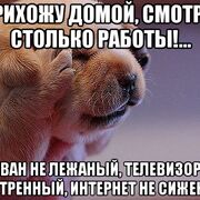  ,  , 50