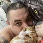 ���������� �����-���������, ���� ������� ������, 29 ���, ������������ ��� ������, ����� � ���������